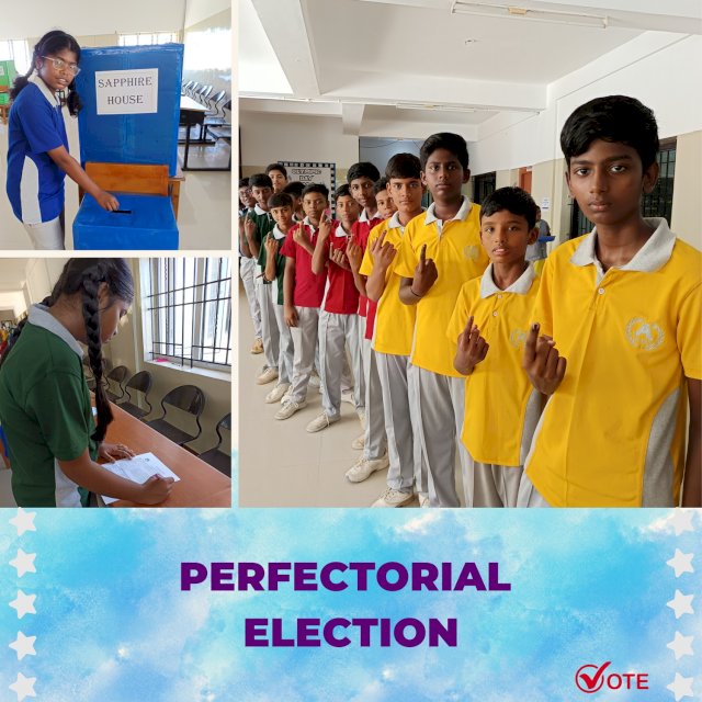 Perfectorial Election